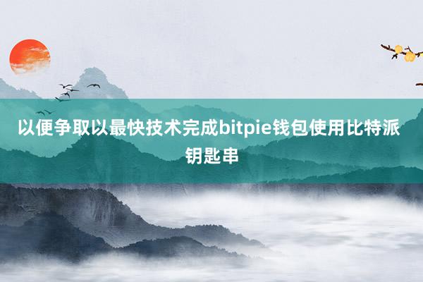 以便争取以最快技术完成bitpie钱包使用比特派 钥匙串