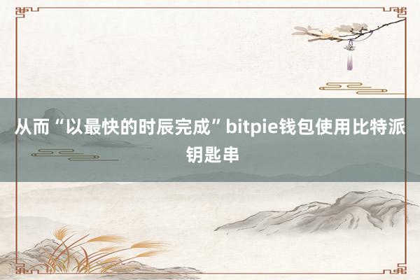 从而“以最快的时辰完成”bitpie钱包使用比特派 钥匙串