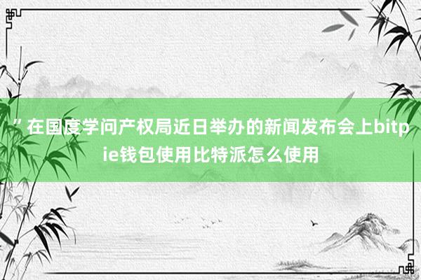 ”在国度学问产权局近日举办的新闻发布会上bitpie钱包使用比特派怎么使用