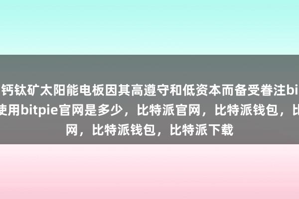 钙钛矿太阳能电板因其高遵守和低资本而备受眷注bitpie钱包使用bitpie官网是多少，比特派官网，比特派钱包，比特派下载