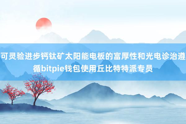 可灵验进步钙钛矿太阳能电板的富厚性和光电诊治遵循bitpie钱包使用丘比特特派专员