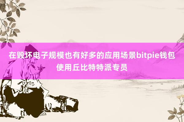 在毁坏电子规模也有好多的应用场景bitpie钱包使用丘比特特派专员