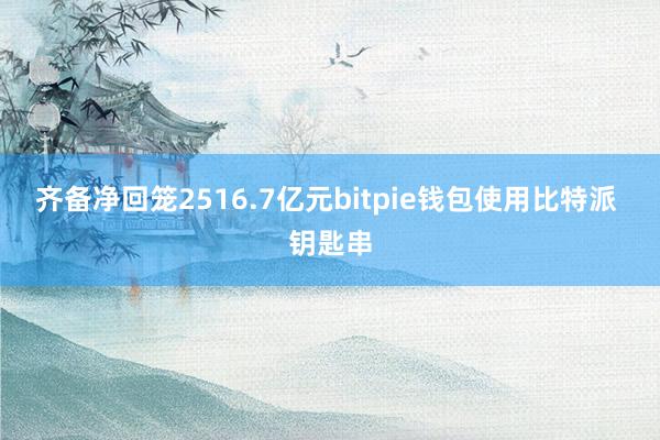 齐备净回笼2516.7亿元bitpie钱包使用比特派 钥匙串