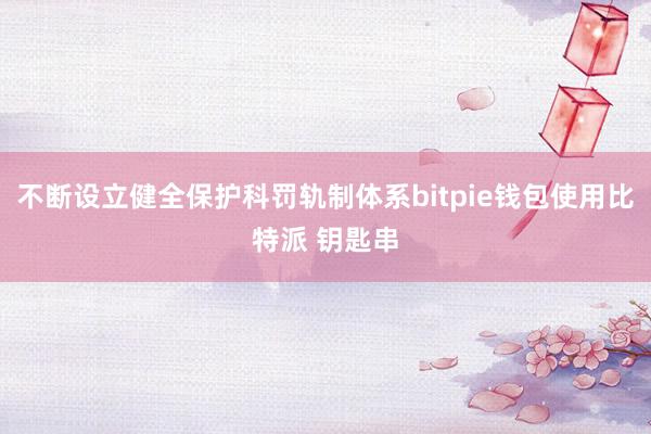 不断设立健全保护科罚轨制体系bitpie钱包使用比特派 钥匙串