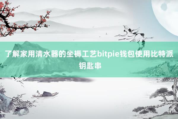 了解家用清水器的坐褥工艺bitpie钱包使用比特派 钥匙串