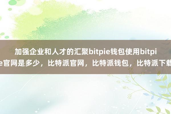 加强企业和人才的汇聚bitpie钱包使用bitpie官网是多少，比特派官网，比特派钱包，比特派下载