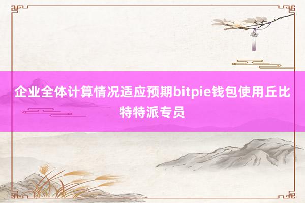 企业全体计算情况适应预期bitpie钱包使用丘比特特派专员