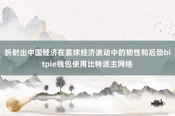 折射出中国经济在寰球经济波动中的韧性和后劲bitpie钱包使用比特派主网络