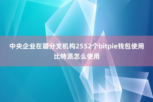 中央企业在疆分支机构2552个bitpie钱包使用比特派怎么使用