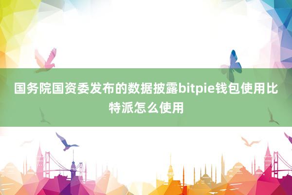 国务院国资委发布的数据披露bitpie钱包使用比特派怎么使用