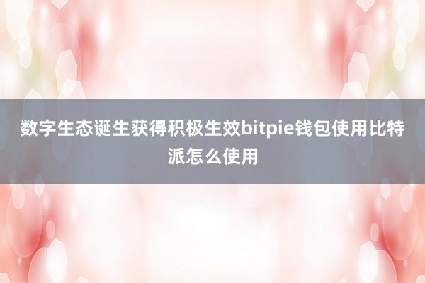 数字生态诞生获得积极生效bitpie钱包使用比特派怎么使用