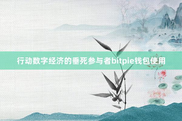 行动数字经济的垂死参与者bitpie钱包使用