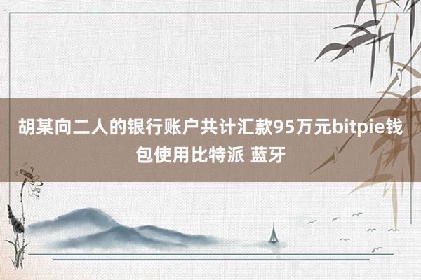 胡某向二人的银行账户共计汇款95万元bitpie钱包使用比特派 蓝牙