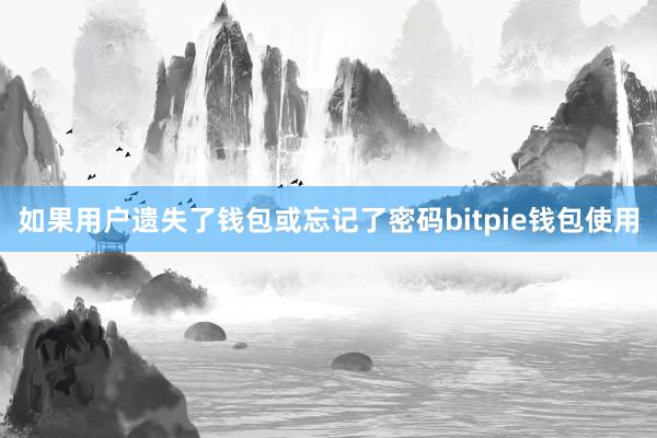 如果用户遗失了钱包或忘记了密码bitpie钱包使用