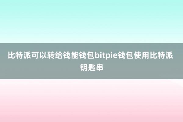 比特派可以转给钱能钱包bitpie钱包使用比特派 钥匙串