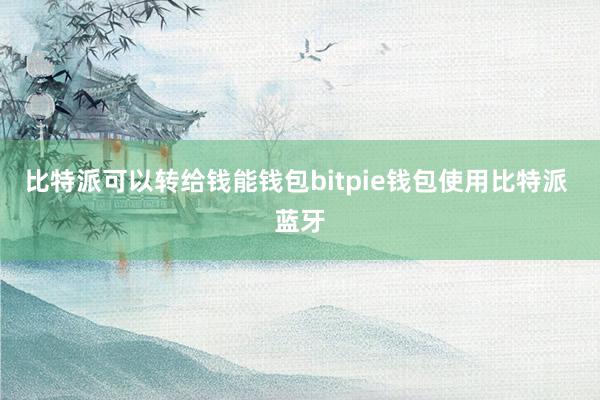 比特派可以转给钱能钱包bitpie钱包使用比特派 蓝牙