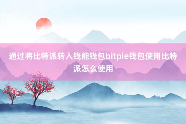 通过将比特派转入钱能钱包bitpie钱包使用比特派怎么使用