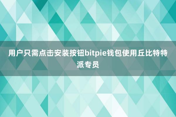 用户只需点击安装按钮bitpie钱包使用丘比特特派专员