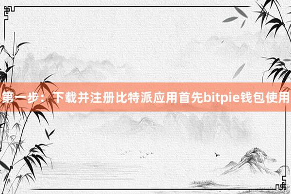 第一步：下载并注册比特派应用首先bitpie钱包使用