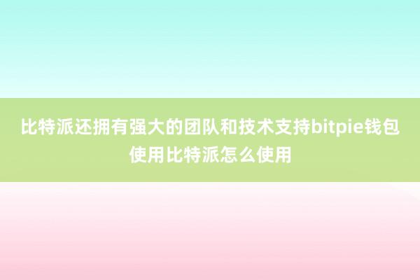 比特派还拥有强大的团队和技术支持bitpie钱包使用比特派怎么使用