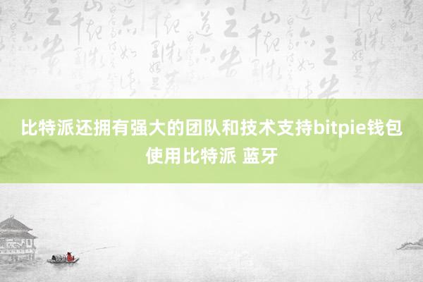 比特派还拥有强大的团队和技术支持bitpie钱包使用比特派 蓝牙