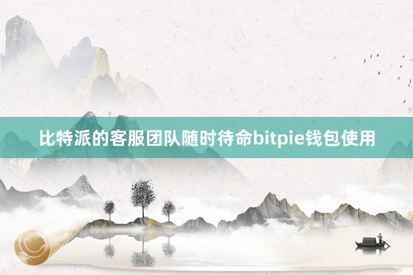 比特派的客服团队随时待命bitpie钱包使用