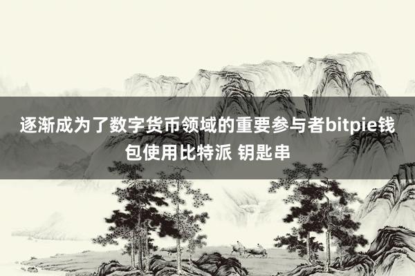 逐渐成为了数字货币领域的重要参与者bitpie钱包使用比特派 钥匙串