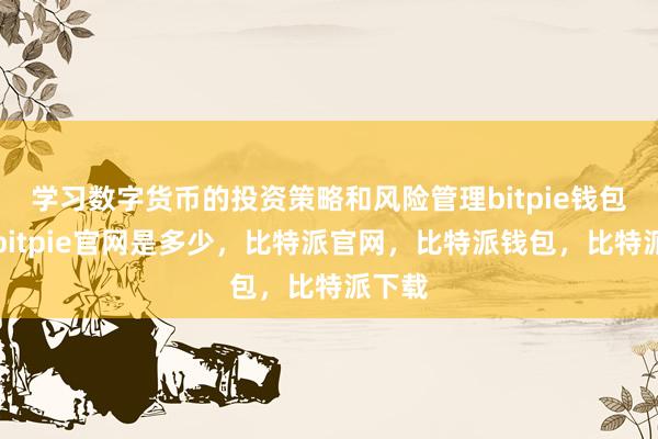 学习数字货币的投资策略和风险管理bitpie钱包使用bitpie官网是多少，比特派官网，比特派钱包，比特派下载