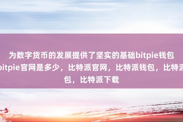 为数字货币的发展提供了坚实的基础bitpie钱包使用bitpie官网是多少，比特派官网，比特派钱包，比特派下载