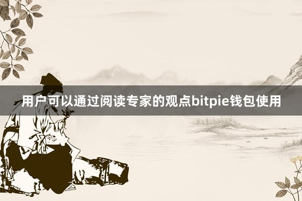 用户可以通过阅读专家的观点bitpie钱包使用