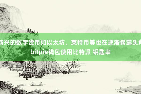 新兴的数字货币如以太坊、莱特币等也在逐渐崭露头角bitpie钱包使用比特派 钥匙串