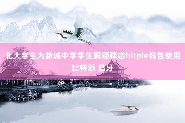 北大学生为新城中学学生解疑释惑bitpie钱包使用比特派 蓝牙