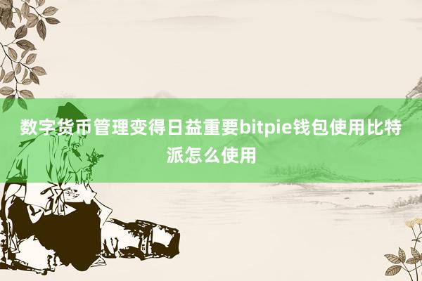 数字货币管理变得日益重要bitpie钱包使用比特派怎么使用