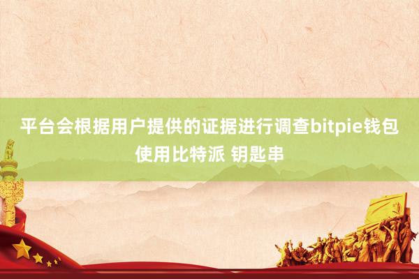 平台会根据用户提供的证据进行调查bitpie钱包使用比特派 钥匙串