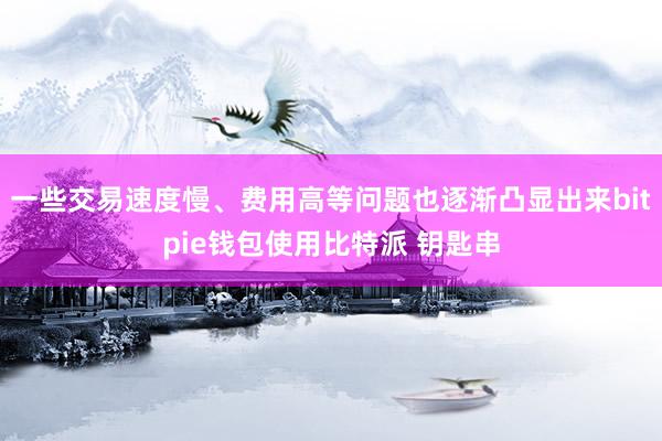 一些交易速度慢、费用高等问题也逐渐凸显出来bitpie钱包使用比特派 钥匙串