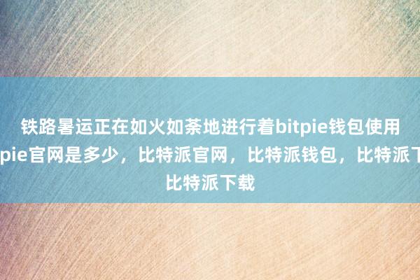 铁路暑运正在如火如荼地进行着bitpie钱包使用bitpie官网是多少，比特派官网，比特派钱包，比特派下载