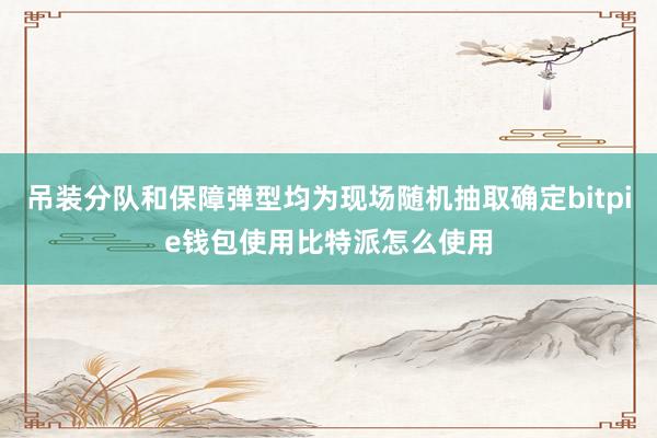 吊装分队和保障弹型均为现场随机抽取确定bitpie钱包使用比特派怎么使用