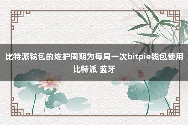 比特派钱包的维护周期为每周一次bitpie钱包使用比特派 蓝牙