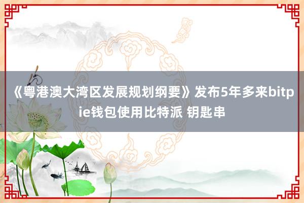 《粤港澳大湾区发展规划纲要》发布5年多来bitpie钱包使用比特派 钥匙串