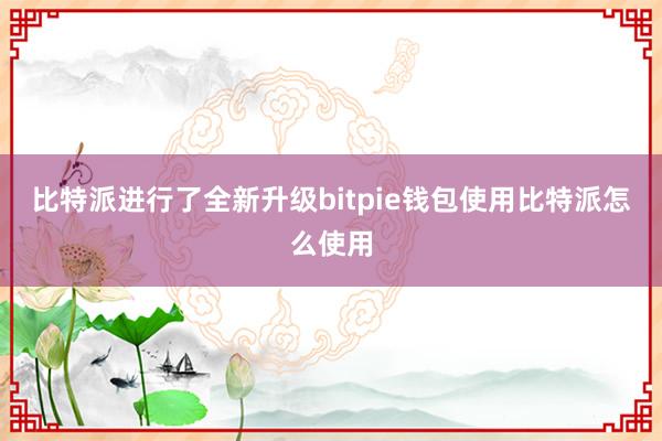 比特派进行了全新升级bitpie钱包使用比特派怎么使用