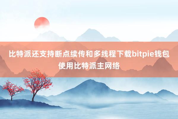 比特派还支持断点续传和多线程下载bitpie钱包使用比特派主网络