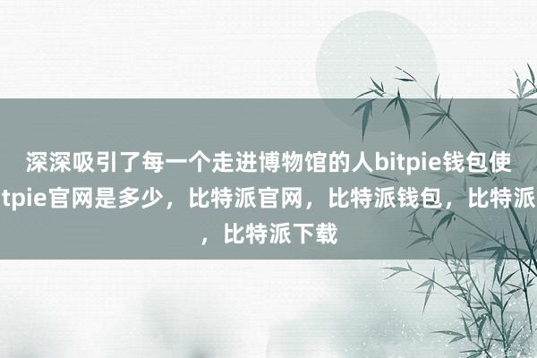 深深吸引了每一个走进博物馆的人bitpie钱包使用bitpie官网是多少，比特派官网，比特派钱包，比特派下载