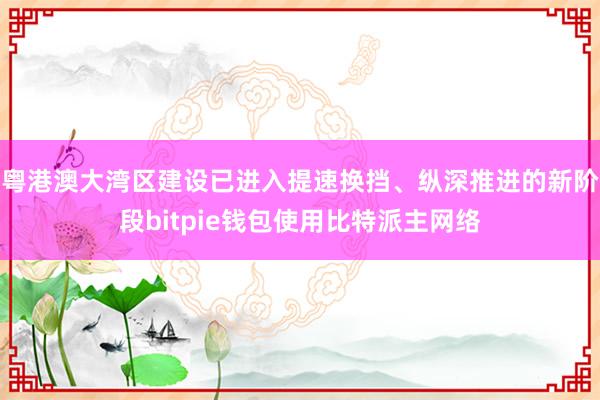 粤港澳大湾区建设已进入提速换挡、纵深推进的新阶段bitpie钱包使用比特派主网络