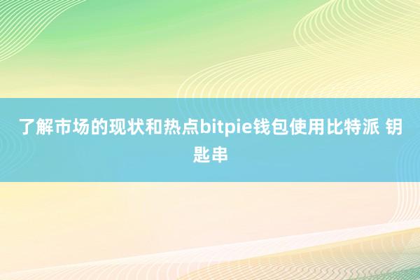 了解市场的现状和热点bitpie钱包使用比特派 钥匙串