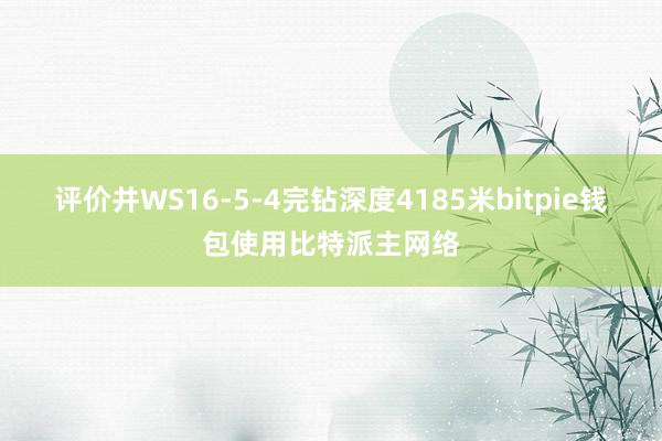 评价井WS16-5-4完钻深度4185米bitpie钱包使用比特派主网络