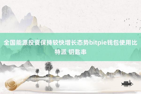 全国能源投资保持较快增长态势bitpie钱包使用比特派 钥匙串