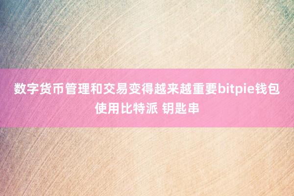 数字货币管理和交易变得越来越重要bitpie钱包使用比特派 钥匙串