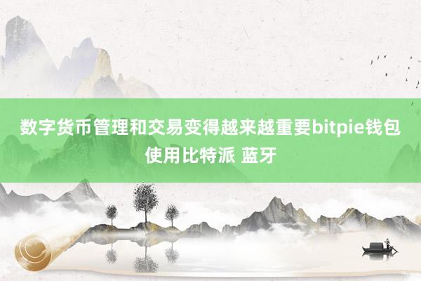 数字货币管理和交易变得越来越重要bitpie钱包使用比特派 蓝牙