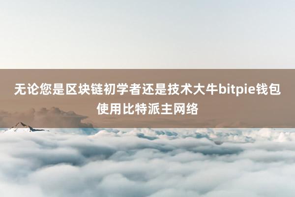 无论您是区块链初学者还是技术大牛bitpie钱包使用比特派主网络