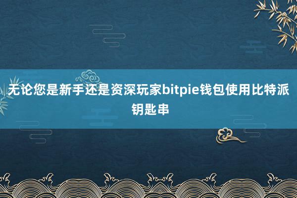 无论您是新手还是资深玩家bitpie钱包使用比特派 钥匙串